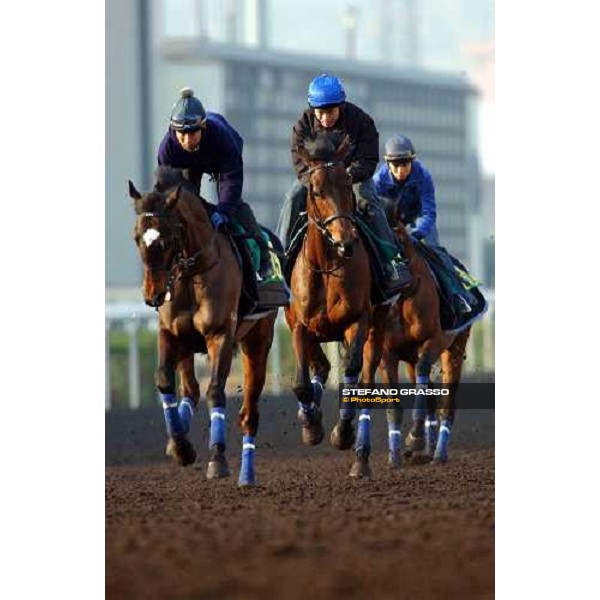 morning works at Sha Tin Hong Kong 9th dec. 2004 ph. Stefano Grasso