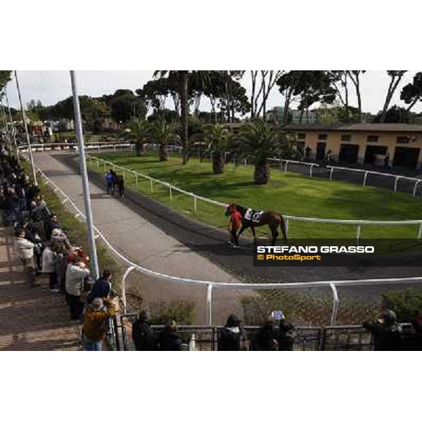 The Saddling Area Rome - Capannelle racecourse, 9th april 2012 photo Stefano Grasso