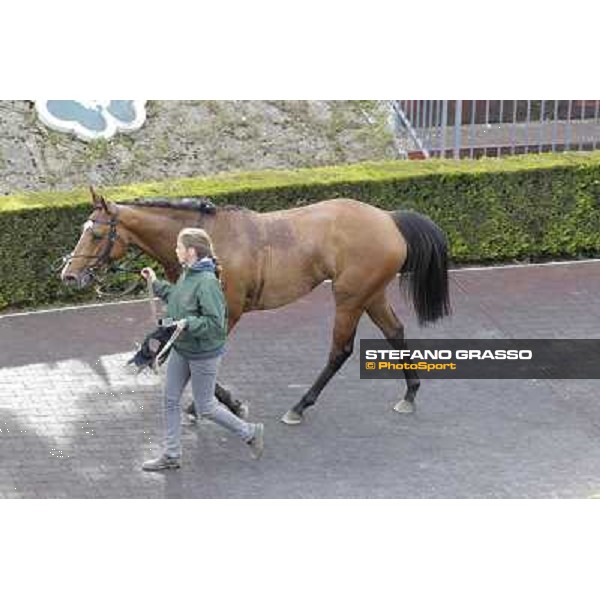 Wedding Fair returns home after winning the Premio The Minstrel Rome - Capannelle racecourse, 9th april 2012 photo Stefano Grasso