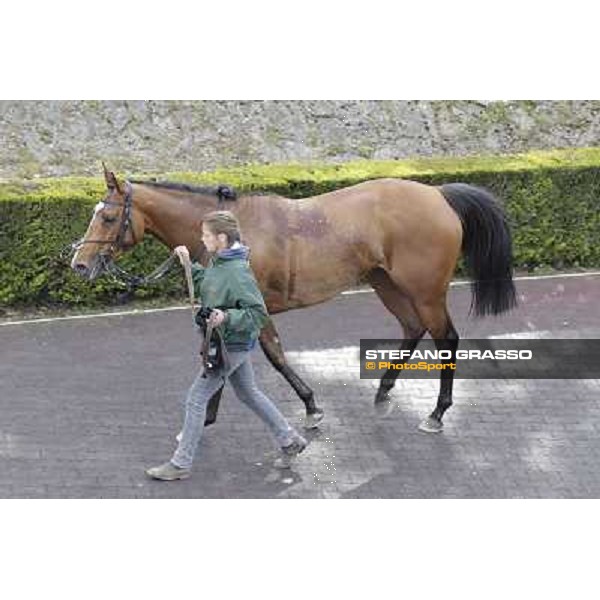 Wedding Fair returns home after winning the Premio The Minstrel Rome - Capannelle racecourse, 9th april 2012 photo Stefano Grasso