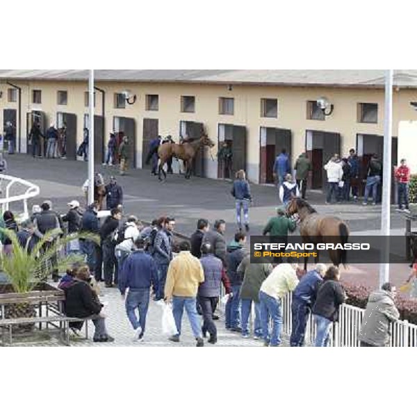 The Saddling Area Rome - Capannelle racecourse, 9th april 2012 photo Stefano Grasso