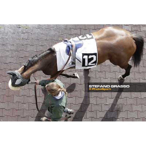 Vanity Woman Rome - Capannelle racecourse, 9th april 2012 photo Stefano Grasso