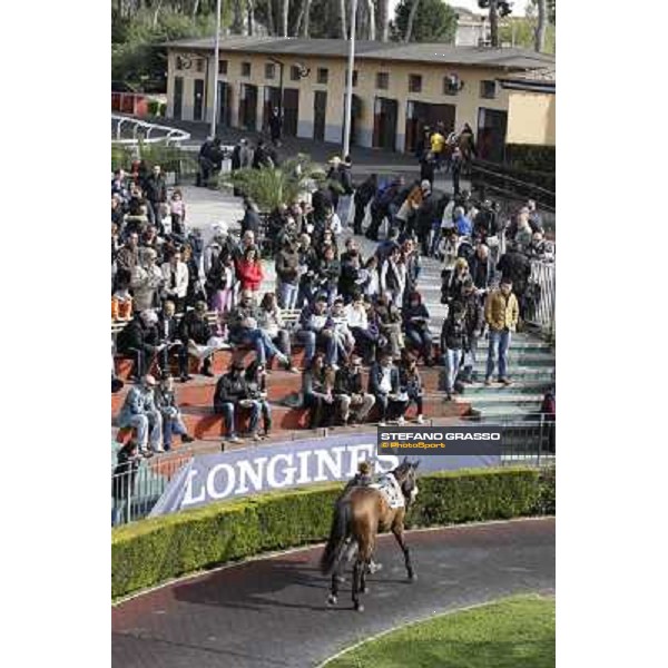 Vanity Woman Rome - Capannelle racecourse, 9th april 2012 photo Stefano Grasso