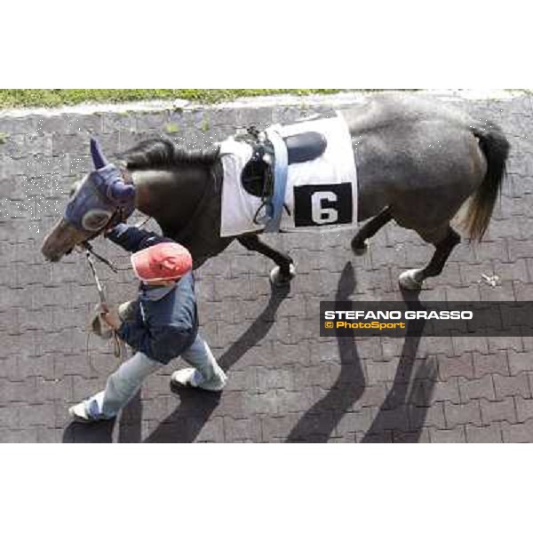 Gerbole Rome - Capannelle racecourse, 9th april 2012 photo Stefano Grasso