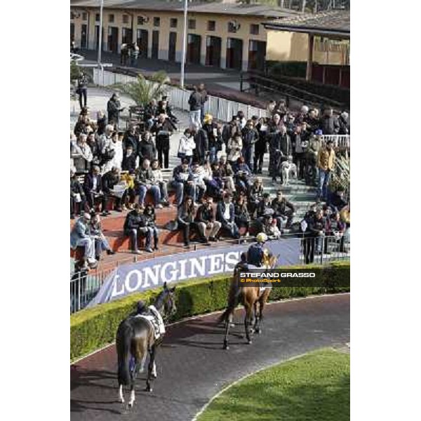 Rome - Capannelle racecourse, 9th april 2012 photo Stefano Grasso