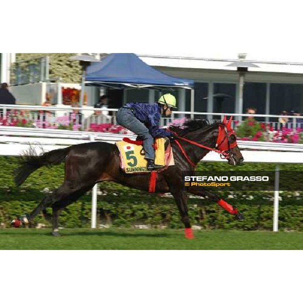 Sunningdale Sha Tin - morning works Hong Kong 9th dec. 2004 ph. Stefano Grasso