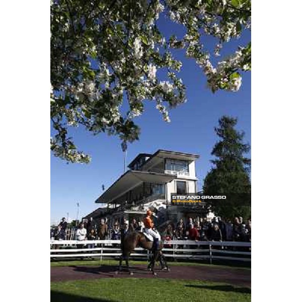 Spring at San Siro - the paddock and the owners enclosure Milano - San Siro galopp racecourse, 8th april 2012 photo Stefano Grasso