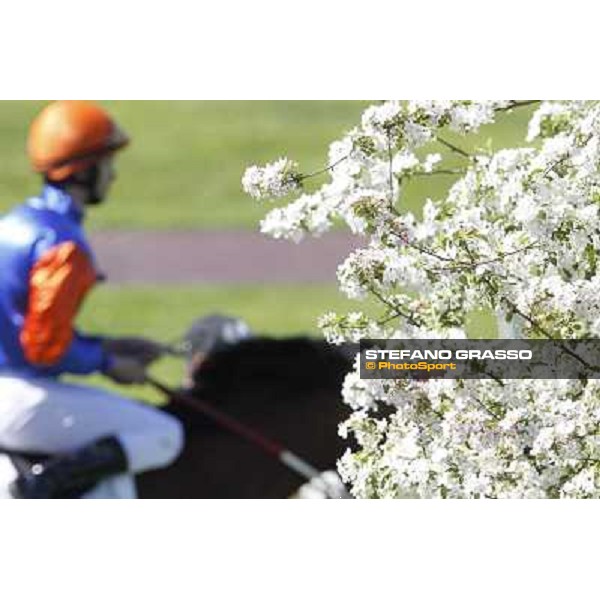 Spring at San Siro galopp racecourse Milano - San Siro galopp racecourse, 8th april 2012 photo Stefano Grasso