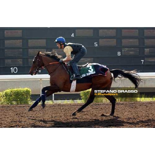 Polish Summer Sha Tin - morning works Hong Kong 9th dec. 2004 ph. Stefano Grasso