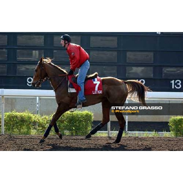 Latice Sha Tin - morning works Hong Kong 9th dec. 2004 ph. Stefano Grasso