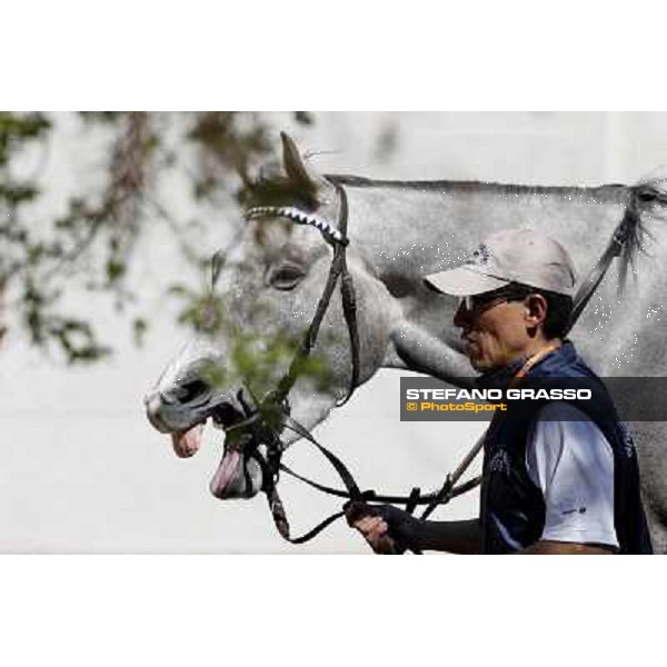 Summer Fall Milano - San Siro galopp racecourse, 8th april 2012 photo Stefano Grasso