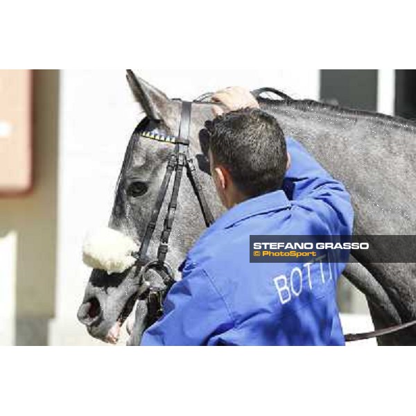 Freezy Milano - San Siro galopp racecourse, 8th april 2012 photo Stefano Grasso