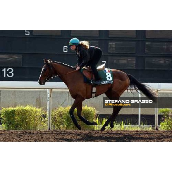Vallee Enchantee Sha Tin - morning works Hong Kong 9th dec. 2004 ph. Stefano Grasso