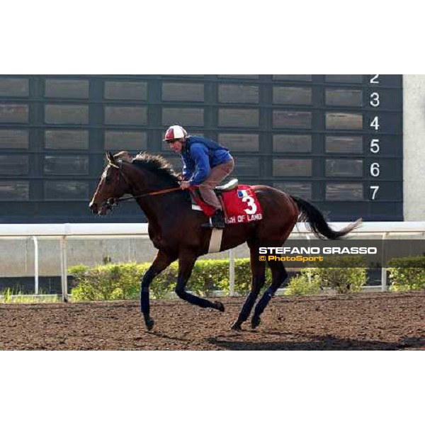 Touch of Land Sha Tin - morning works Hong Kong 9th dec. 2004 ph. Stefano Grasso