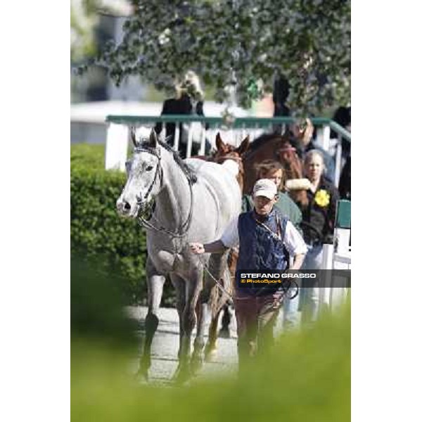 Summer Fall Milano - San Siro galopp racecourse, 8th april 2012 photo Stefano Grasso