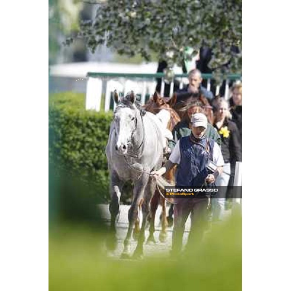 Summer Fall Milano - San Siro galopp racecourse, 8th april 2012 photo Stefano Grasso