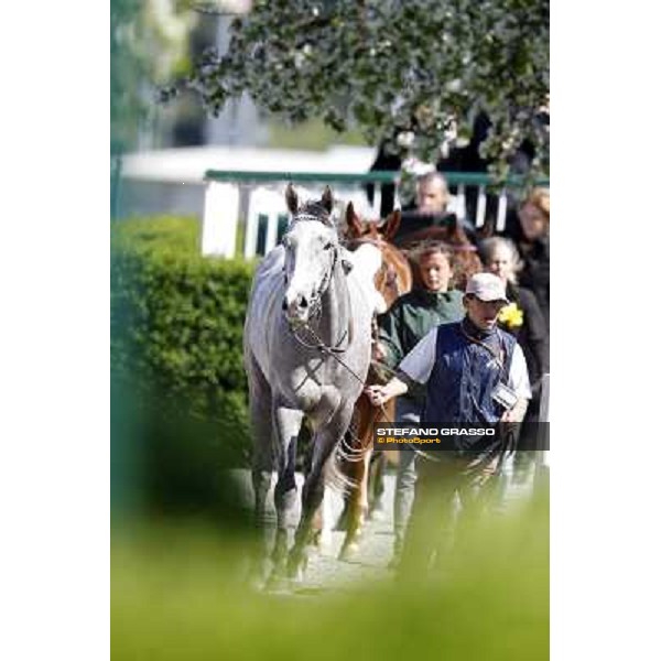 Summer Fall Milano - San Siro galopp racecourse, 8th april 2012 photo Stefano Grasso