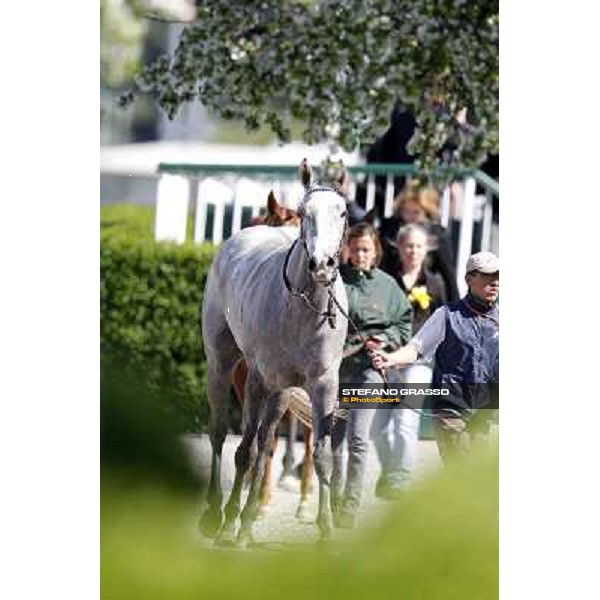 Summer Fall Milano - San Siro galopp racecourse, 8th april 2012 photo Stefano Grasso