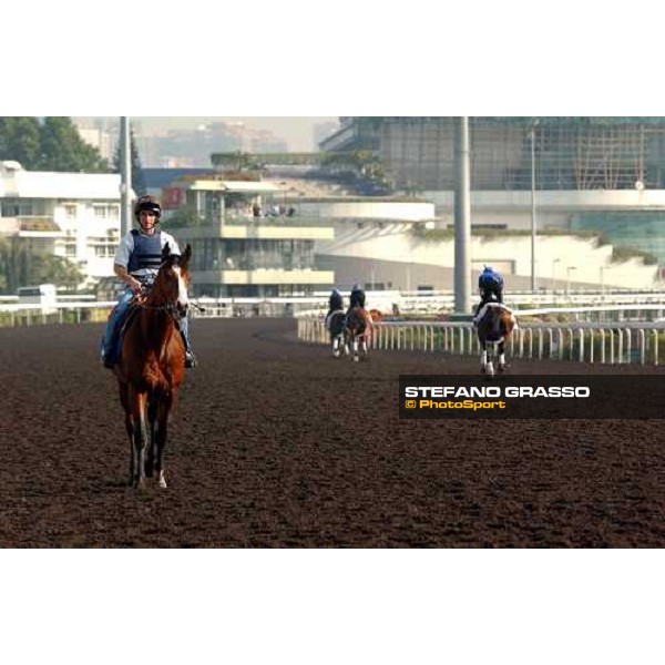 Martillo Sha Tin - morning works Hong Kong 9th dec. 2004 ph. Stefano Grasso