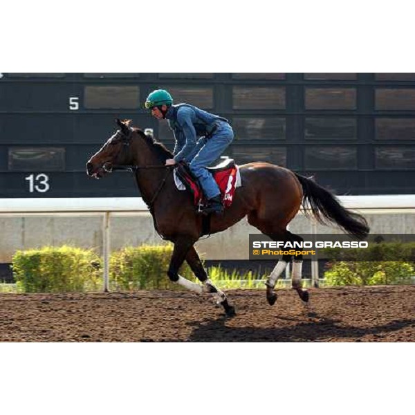 Alexander Goldrun Sha Tin - morning works Hong Kong 9th dec. 2004 ph. Stefano Grasso