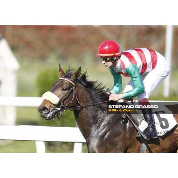 Fabio Branca on Last Night Show goes to win the Premio Seregno Milano - San Siro galopp racecourse, 8th april 2012 photo Stefano Grasso