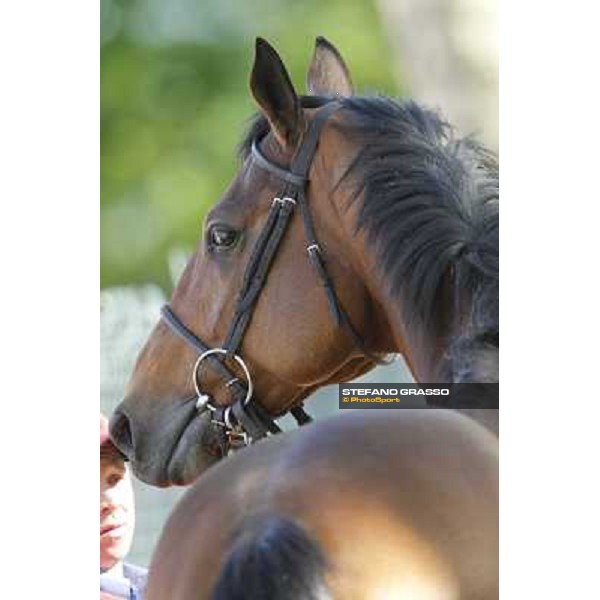 Estejo Milano - San Siro galopp racecourse, 8th april 2012 photo Stefano Grasso