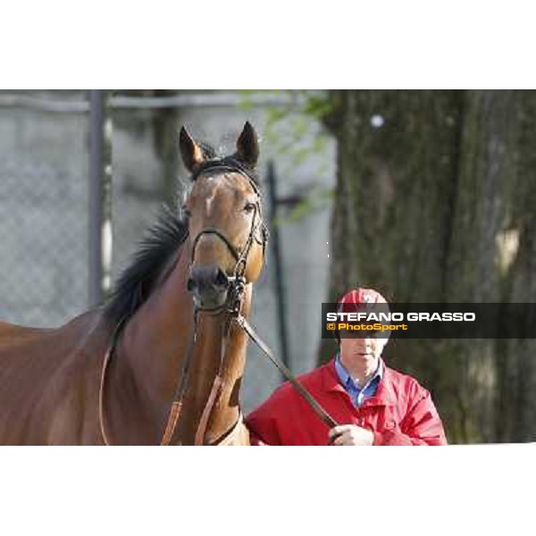 Estejo Milano - San Siro galopp racecourse, 8th april 2012 photo Stefano Grasso