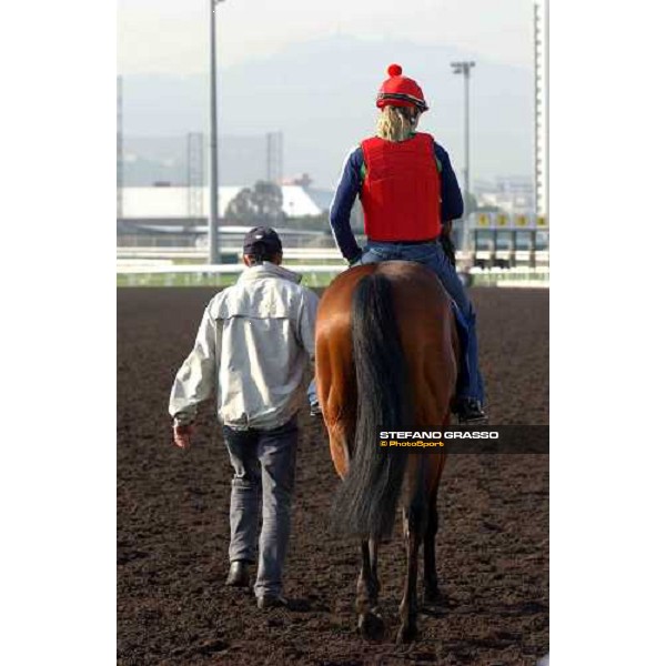 Eagle Rise Sha Tin - morning works Hong Kong 9th dec. 2004 ph. Stefano Grasso