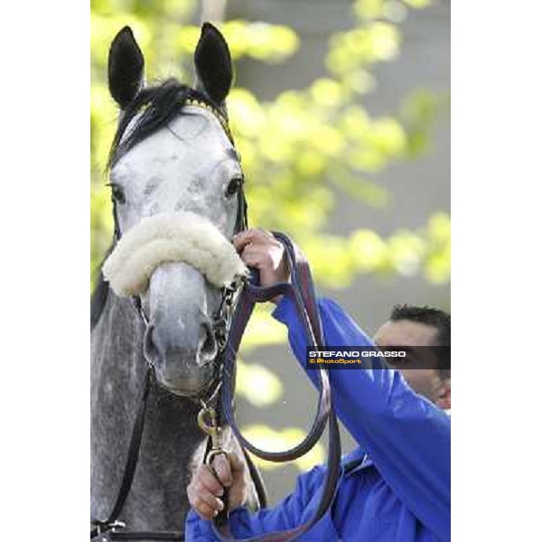 Crackerjack King Milano - San Siro galopp racecourse, 8th april 2012 photo Stefano Grasso