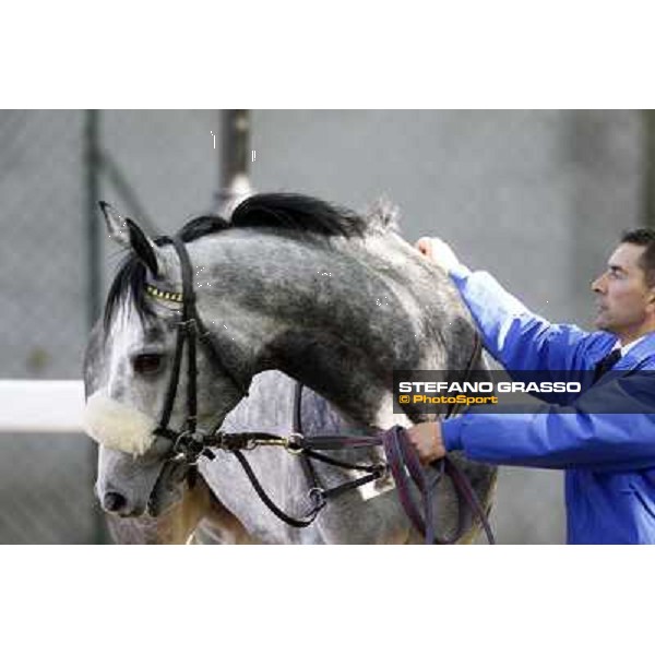 Crackerjack King Milano - San Siro galopp racecourse, 8th april 2012 photo Stefano Grasso