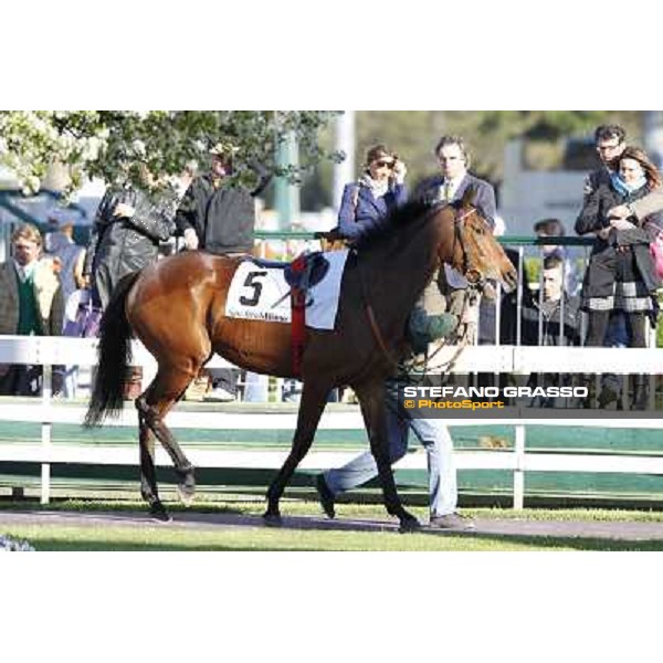 Quiza Quiza Quiza Milano - San Siro galopp racecourse, 8th april 2012 photo Stefano Grasso