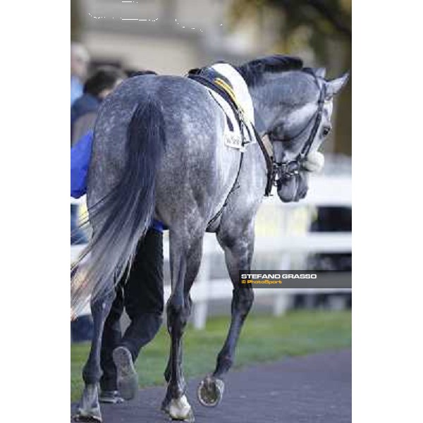 Milano - San Siro galopp racecourse, 8th april 2012 photo Stefano Grasso