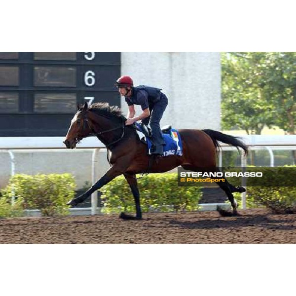 Antonius Pius Sha Tin - morning works Hong Kong 9th dec. 2004 ph. Stefano Grasso