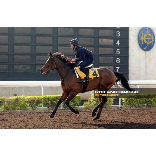 Pivotal Point Sha Tin - morning works Hong Kong 9th dec. 2004 ph. Stefano Grasso