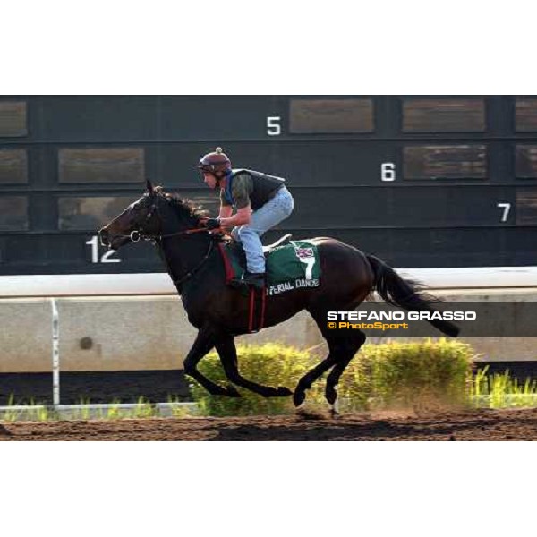 Imperial Dancer Sha Tin - morning works Hong Kong 9th dec. 2004 ph. Stefano Grasso