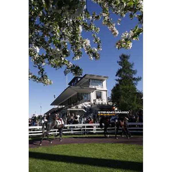 The spring in the paddock Milano - San Siro galopp racecourse, 8th april 2012 photo Stefano Grasso