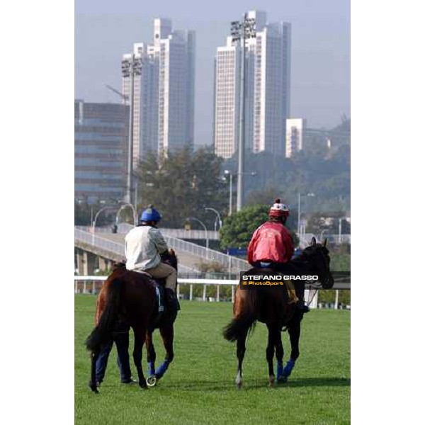 Warrsan and Var (right) Sha Tin - morning works Hong Kong 9th dec. 2004 ph. Stefano Grasso