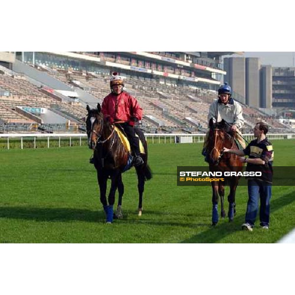 Var and Warrsan (at right) Sha Tin - morning works Hong Kong 9th dec. 2004 ph. Stefano Grasso
