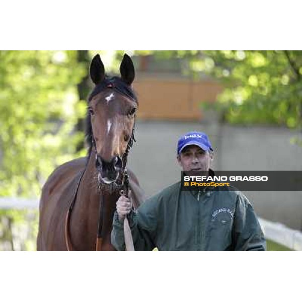 A portrait for Quiza Quiza Quiza Milano - San Siro galopp racecourse, 8th april 2012 photo Stefano Grasso