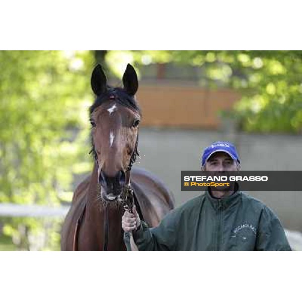 A portrait for Quiza Quiza Quiza Milano - San Siro galopp racecourse, 8th april 2012 photo Stefano Grasso