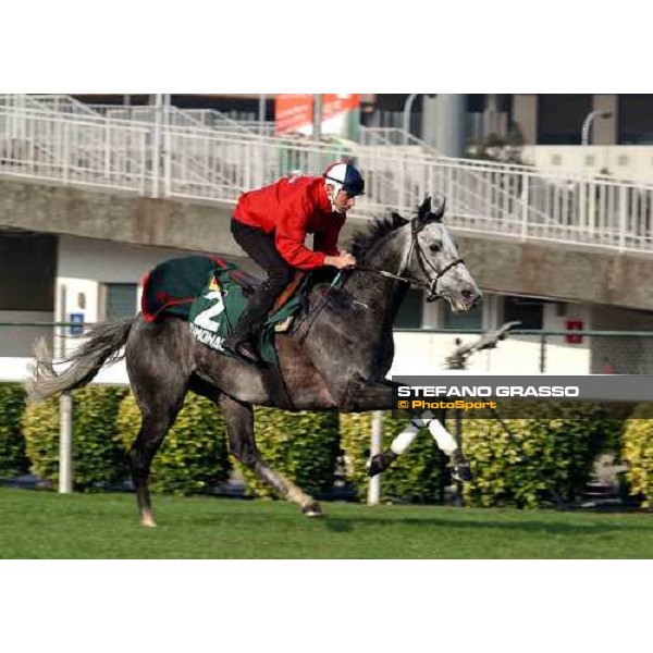 Simonas Sha Tin - morning works Hong Kong 9th dec. 2004 ph. Stefano Grasso