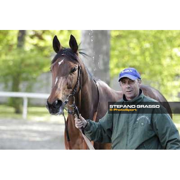 A portrait for Quiza Quiza Quiza Milano - San Siro galopp racecourse, 8th april 2012 photo Stefano Grasso