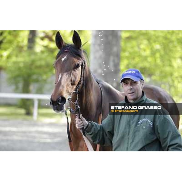 A portrait for Quiza Quiza Quiza Milano - San Siro galopp racecourse, 8th april 2012 photo Stefano Grasso