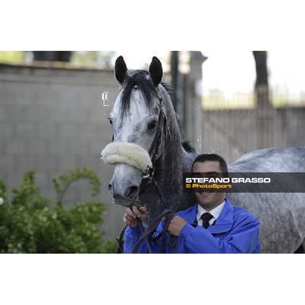 A portrait for Crackerjack King Milano - San Siro galopp racecourse, 8th april 2012 photo Stefano Grasso