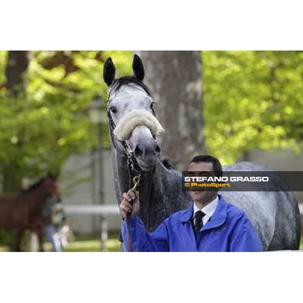 A portrait for Crackerjack King Milano - San Siro galopp racecourse, 8th april 2012 photo Stefano Grasso