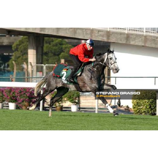 Simonas Sha Tin - morning works Hong Kong 9th dec. 2004 ph. Stefano Grasso