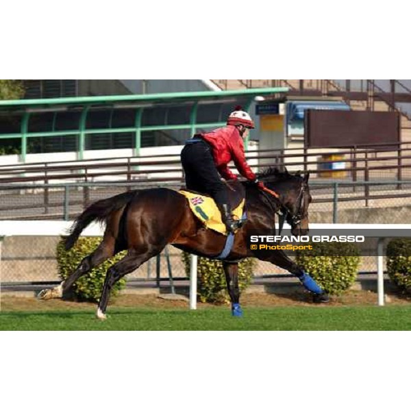 Var Sha Tin - morning works Hong Kong 9th dec. 2004 ph. Stefano Grasso
