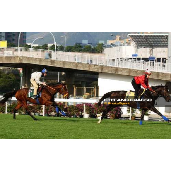 Var and Warrsan Sha Tin - morning works Hong Kong 9th dec. 2004 ph. Stefano Grasso