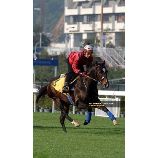 Var Sha Tin - morning works Hong Kong 9th dec. 2004 ph. Stefano Grasso