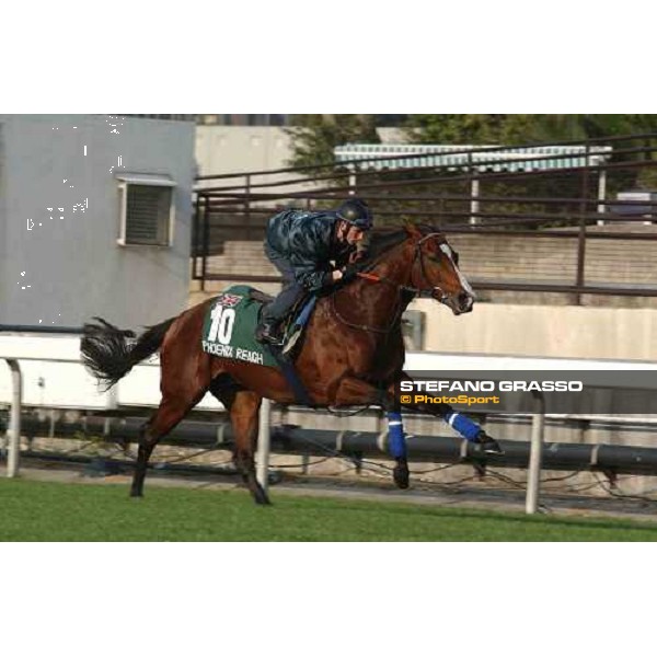 Phoenix Reach Sha Tin - morning works Hong Kong 9th dec. 2004 ph. Stefano Grasso